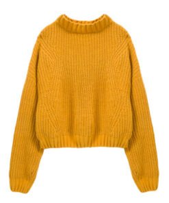 Sweater (Dry Clean)