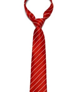 Tie (Dry Clean)