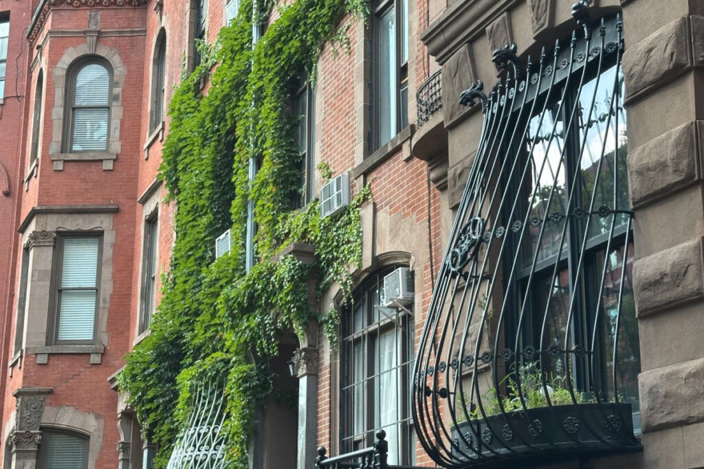 Row of classic Harlem brownstones with stoops on a sunny NYC street